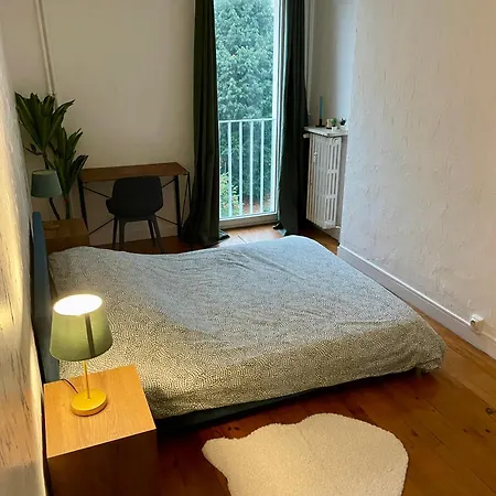 Calme Et Bien Decore, Cours Fauriel Saint-Etienne (Loire)